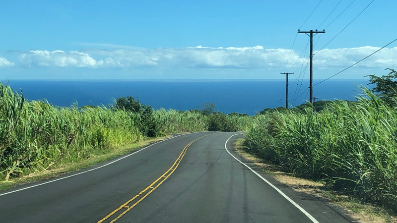 The view in my dreams. My dreams had a Lamborghini on these roads. Path-found-incompletely.
